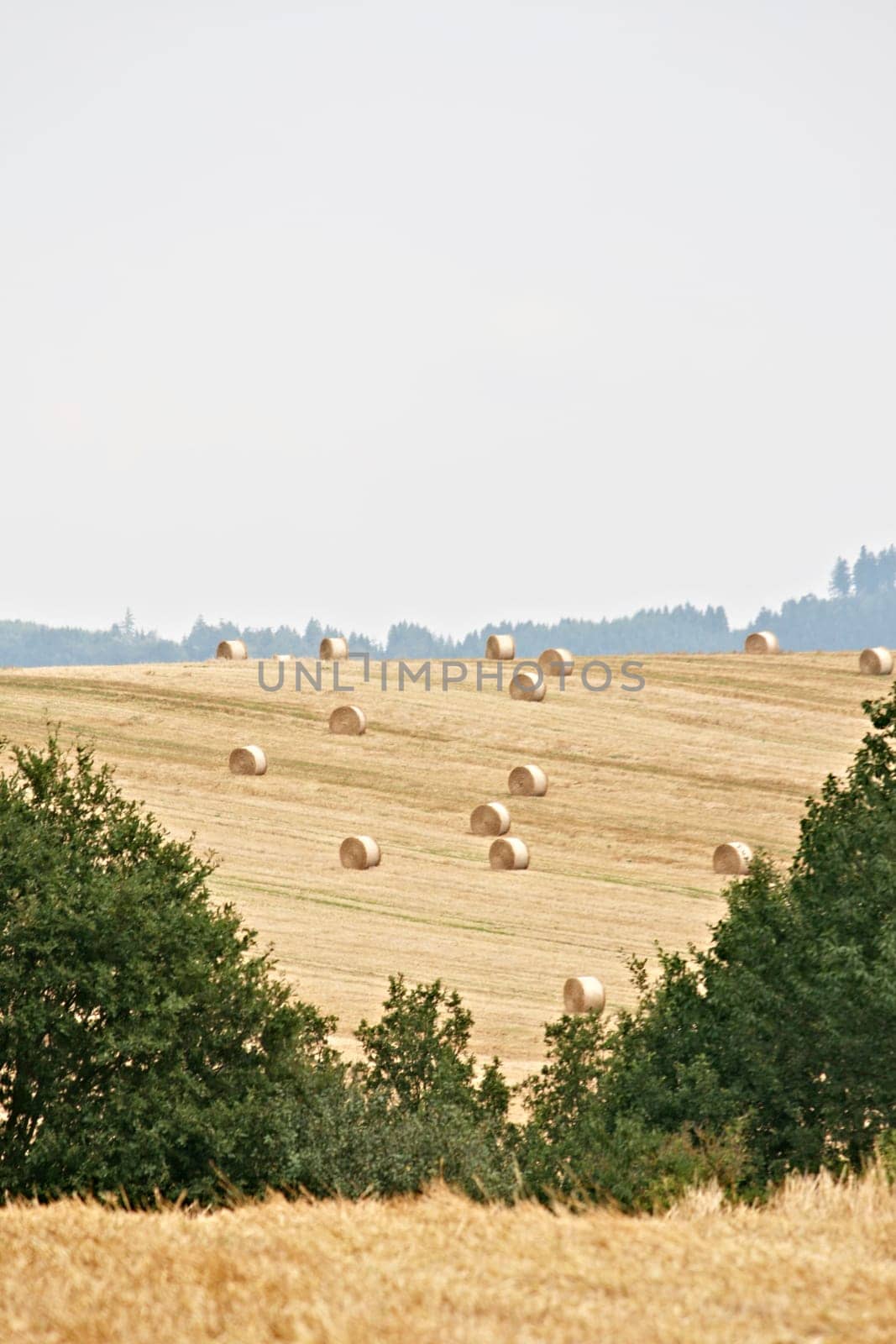 Straw bales