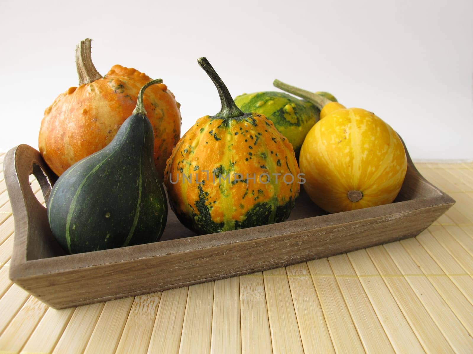 Autumn decoration with ornamental pumpkins