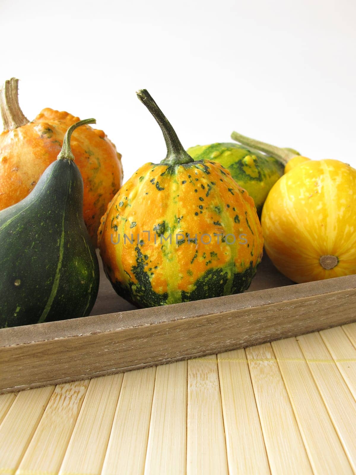 Autumn decoration with ornamental pumpkins