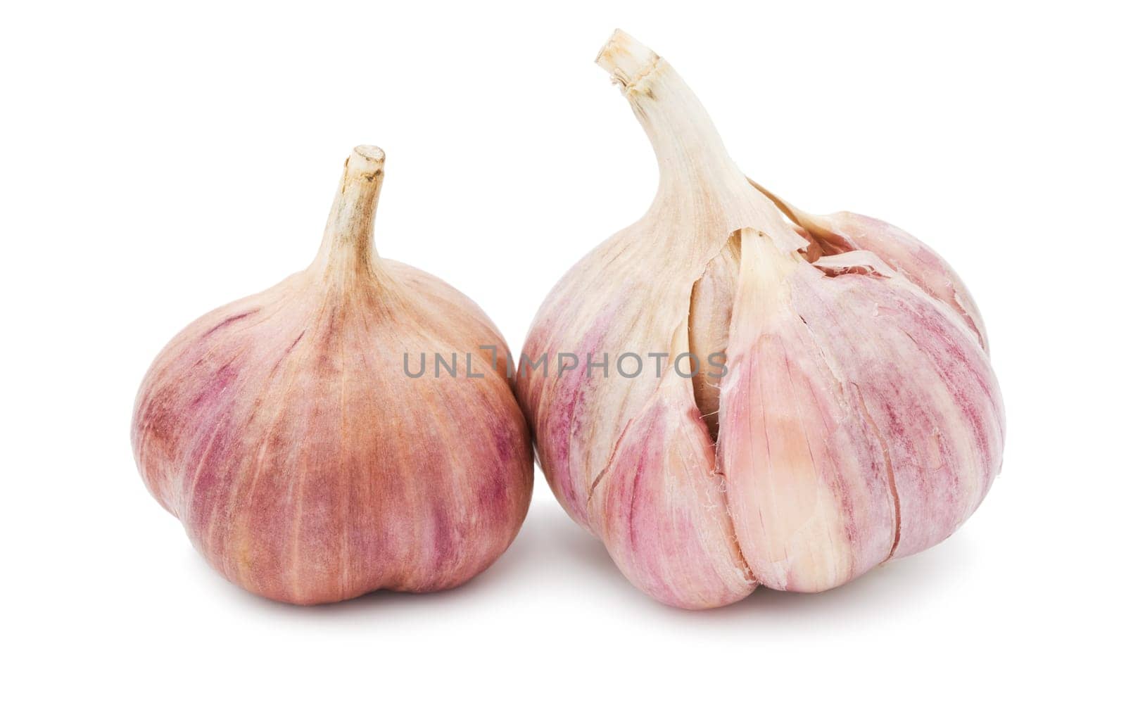 Fresh young garlic isolated on white background