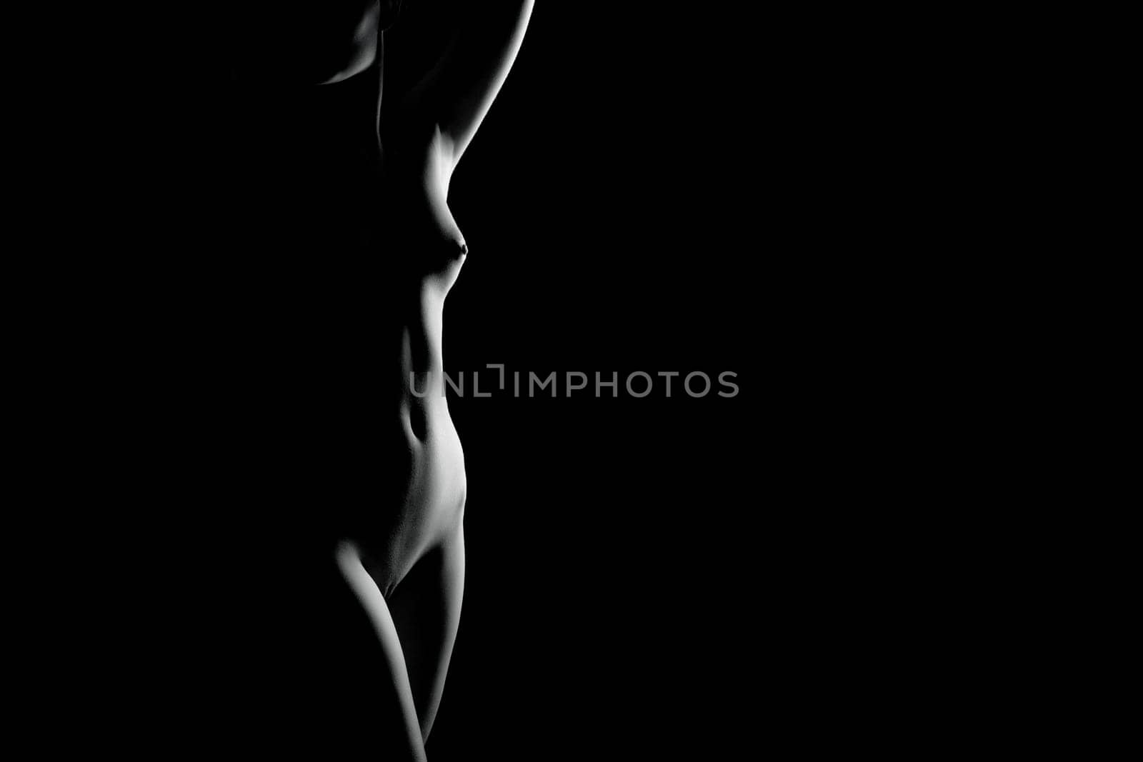 Erotic contour of beautiful nude woman on black background