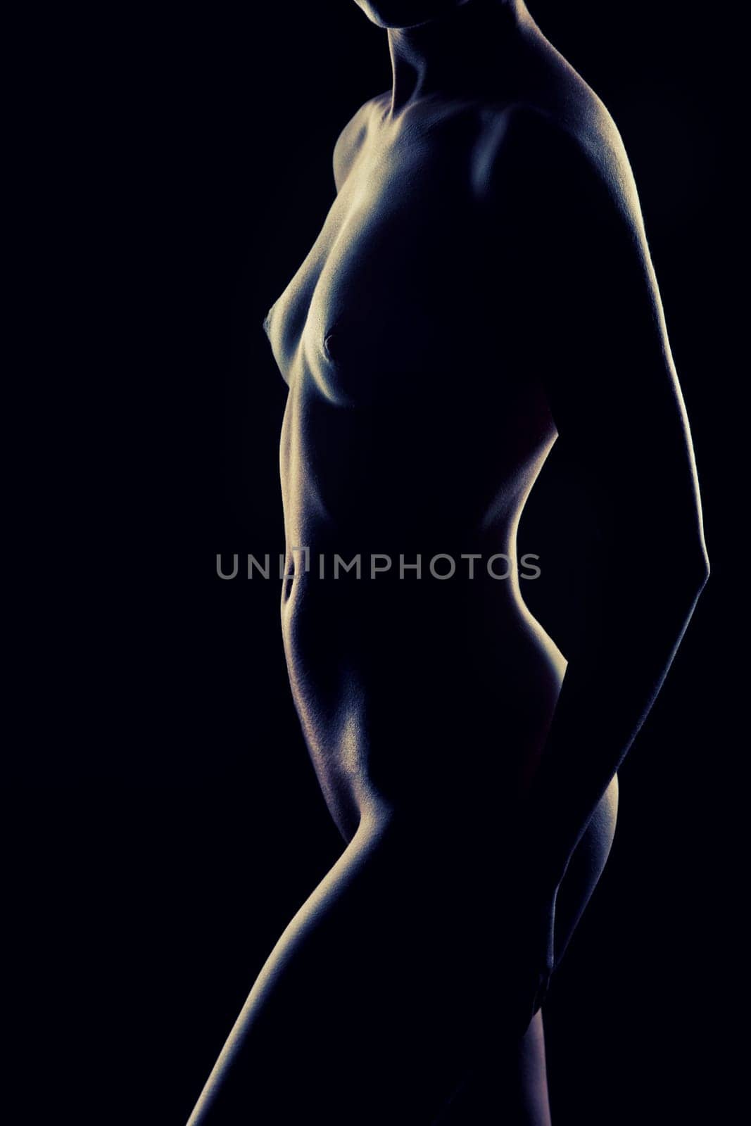 Erotic contour of beautiful nude woman on black background