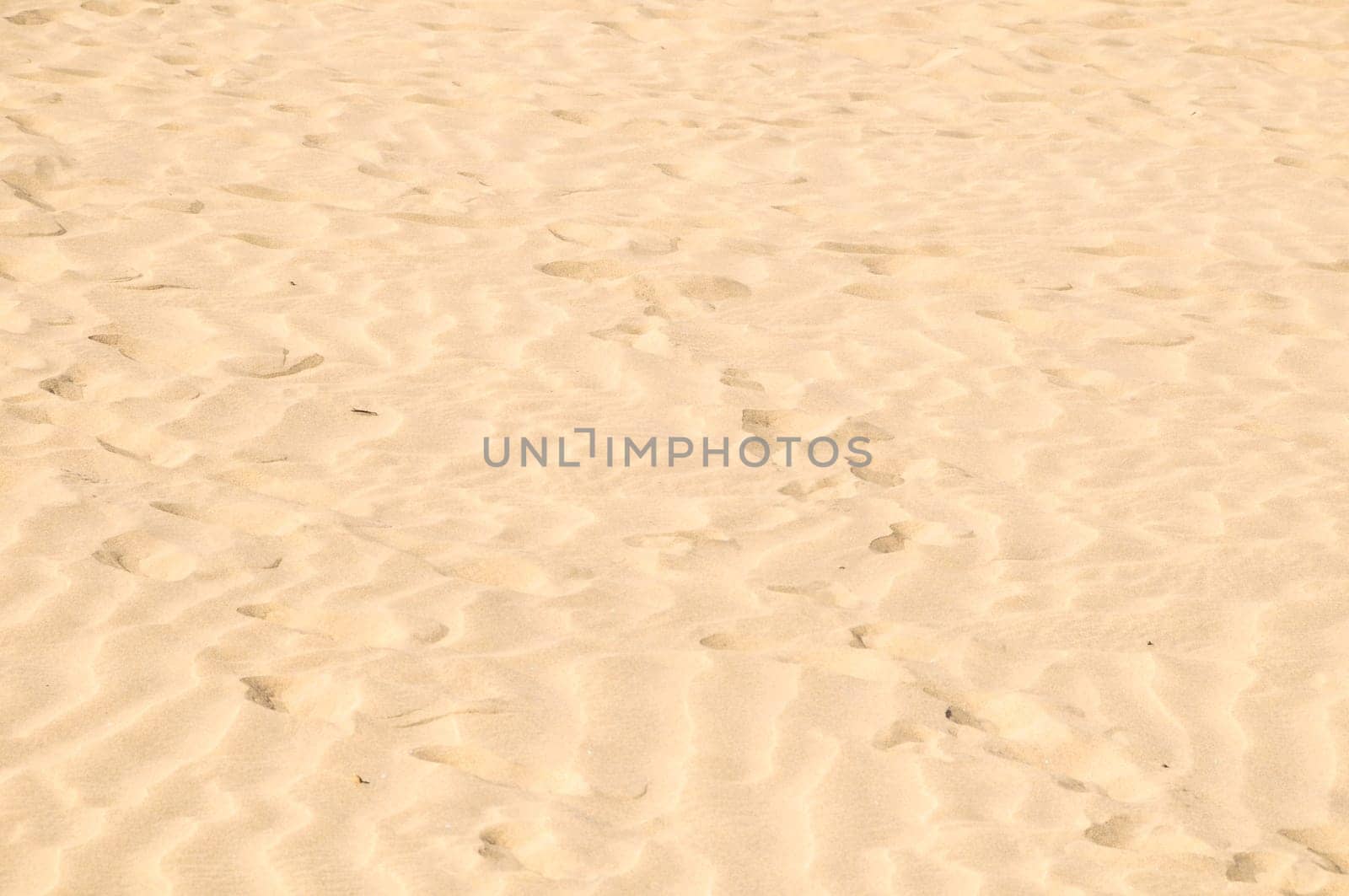 Texture Sand Dune Desert in Gran Canaria Island Spain