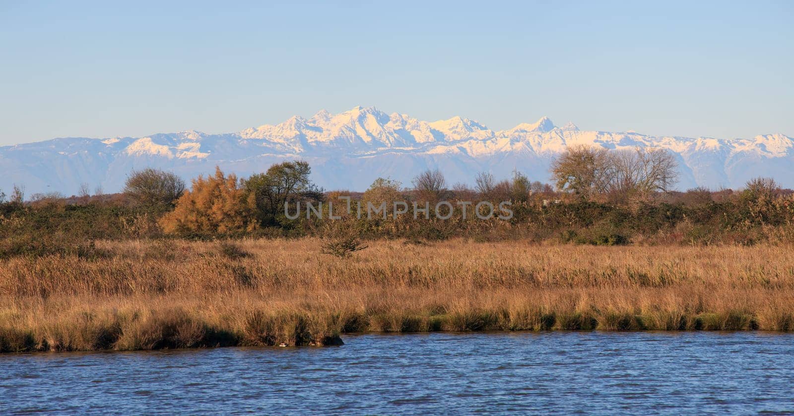 View of Nature reserve of Valle canal Novo, Italy