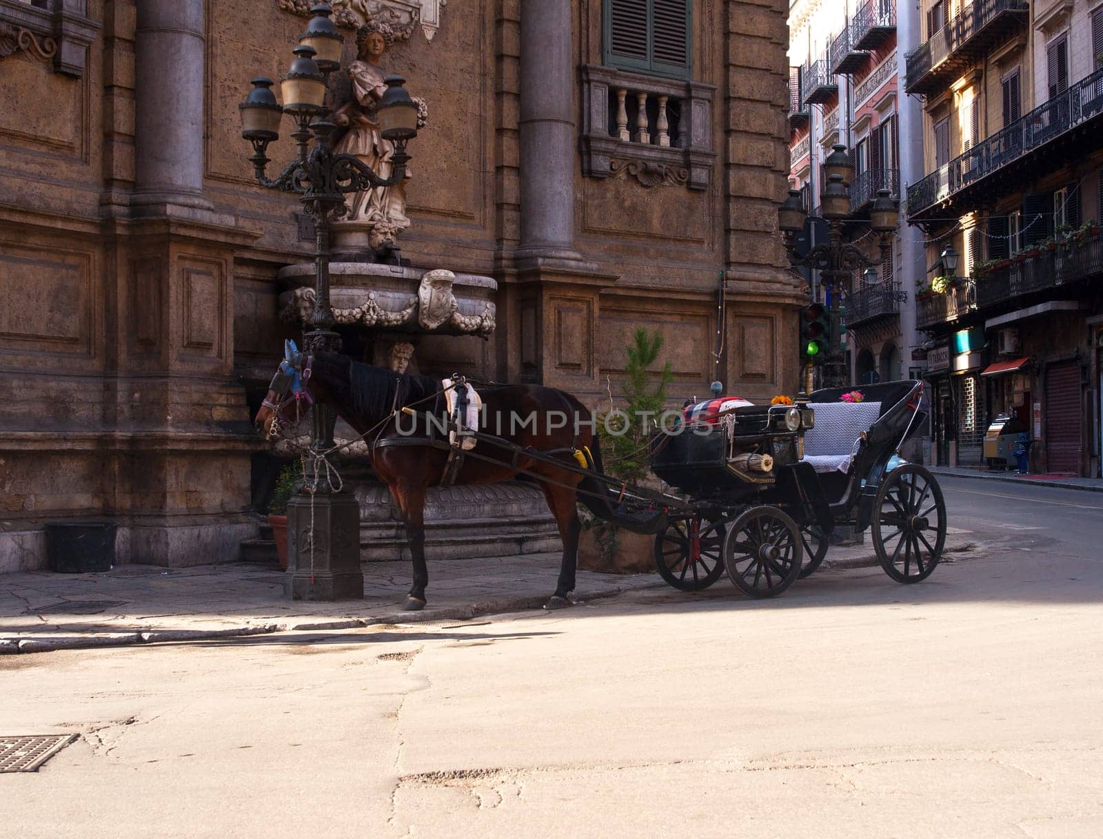 Buggy in the Quattro Canti in the Baroque square in Palermo, Italy