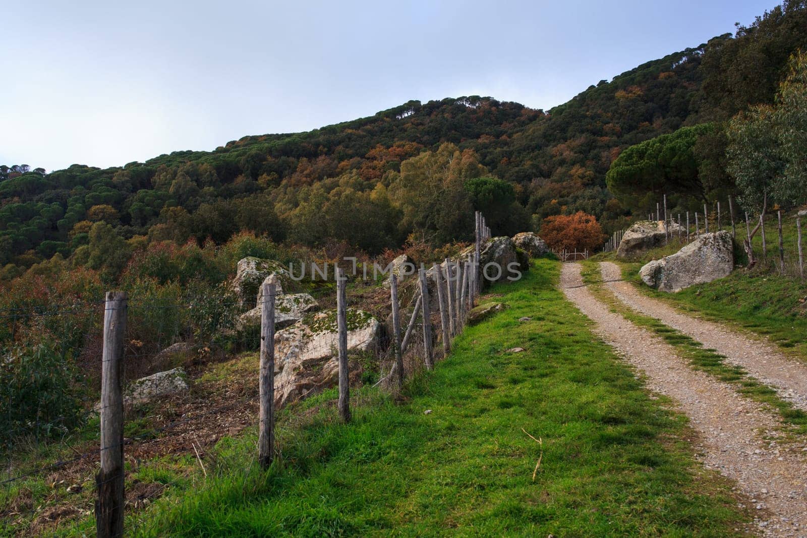 View of fence in the Altesina mountain