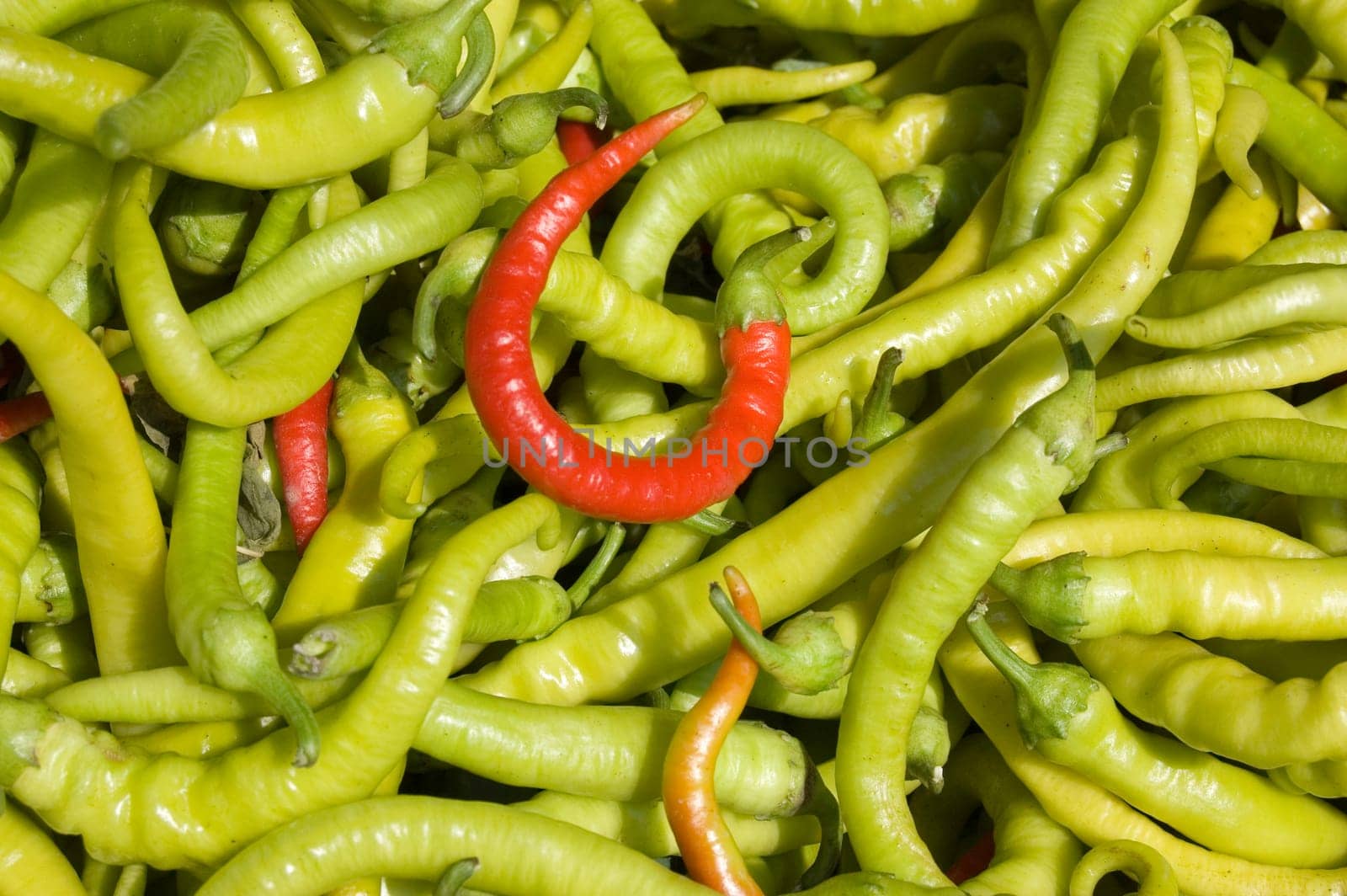 Chilli peppers on market