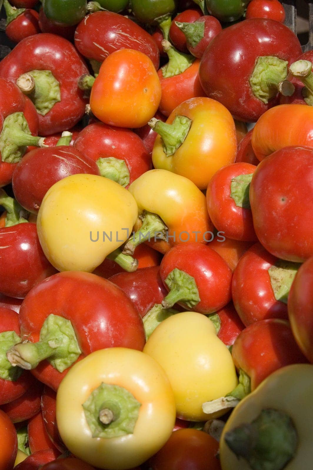 Chilli peppers on market