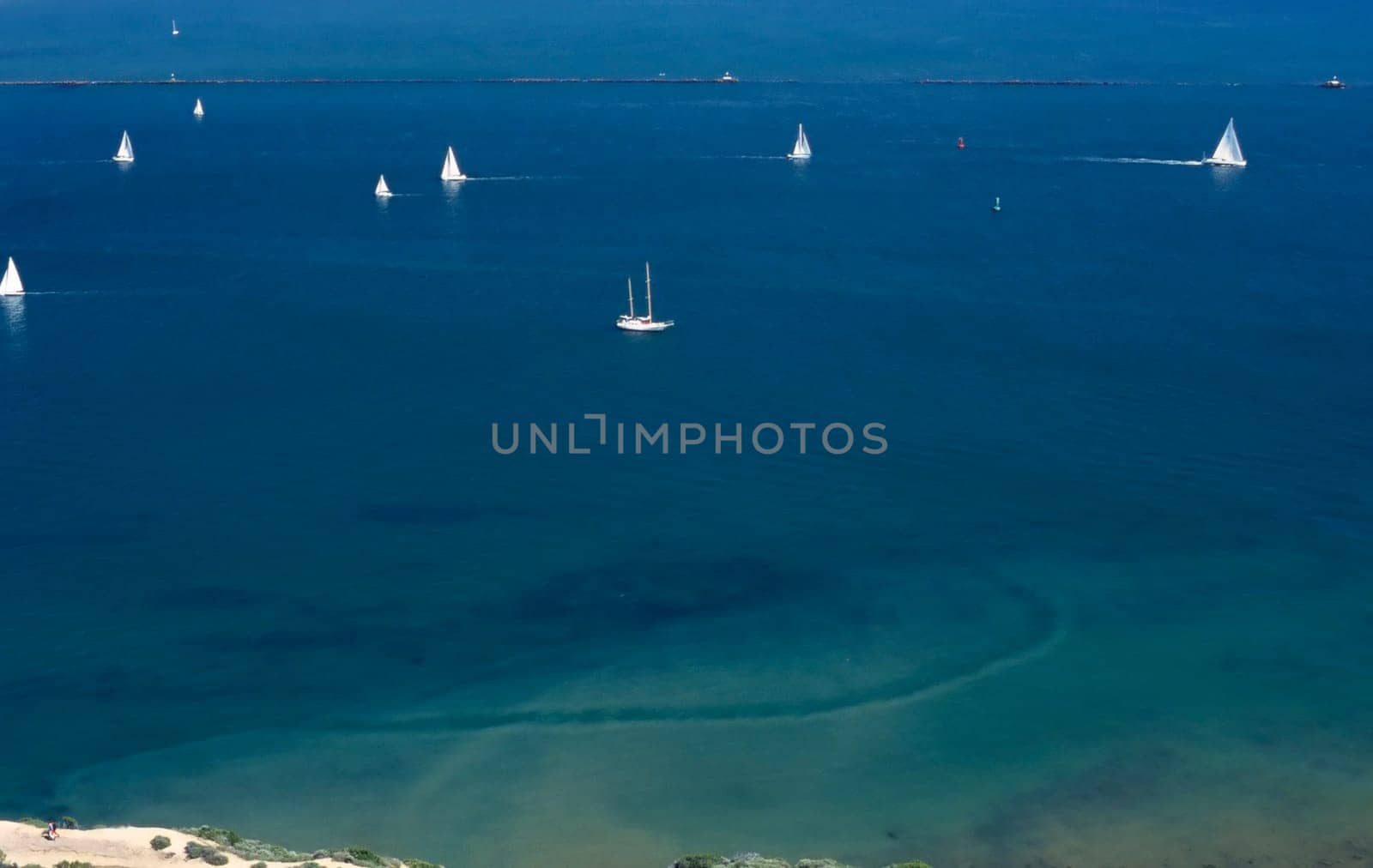 Salboats in San Diego Bay, California