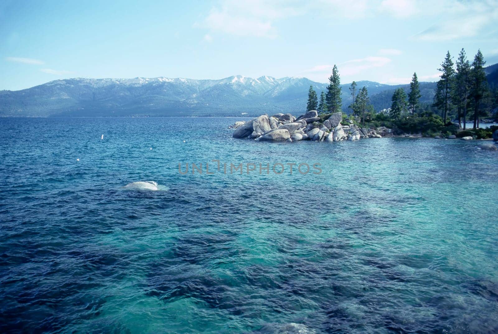 Rocky shore of  Lake Tahoe