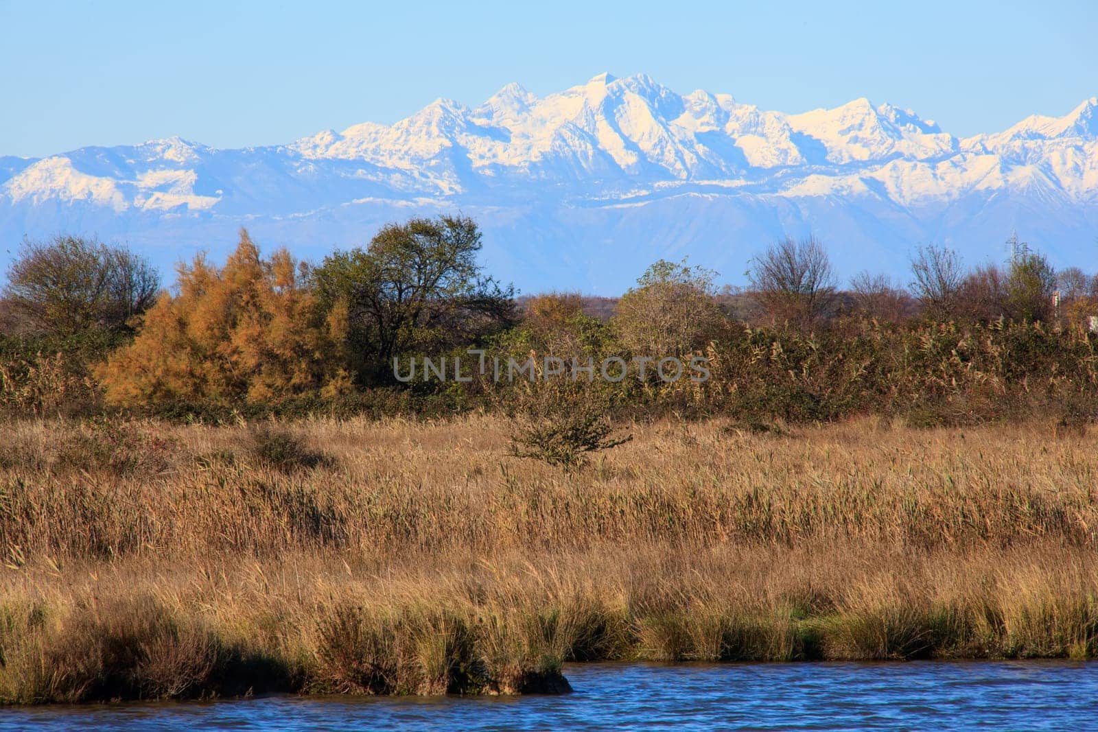 View of Nature reserve of Valle canal Novo, Italy