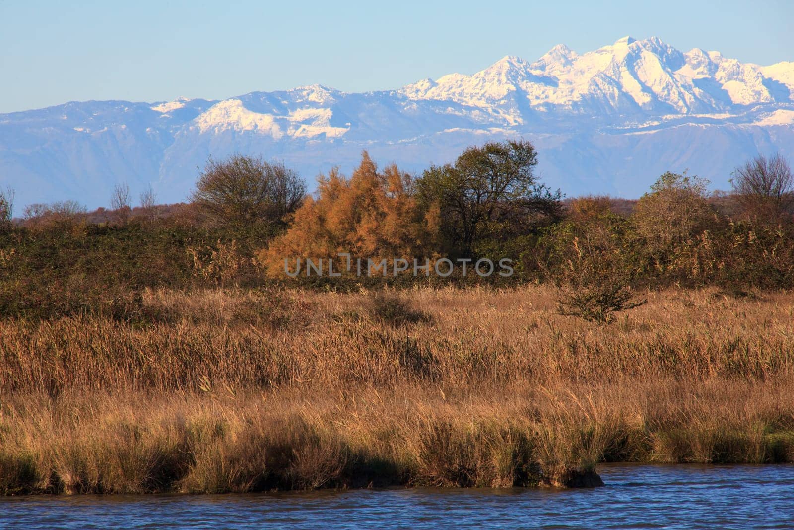View of Nature reserve of Valle canal Novo, Italy