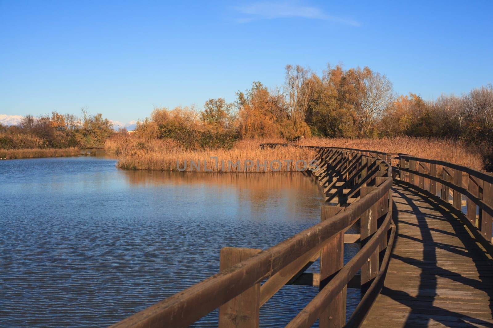 View of Nature reserve of Valle canal Novo, Italy
