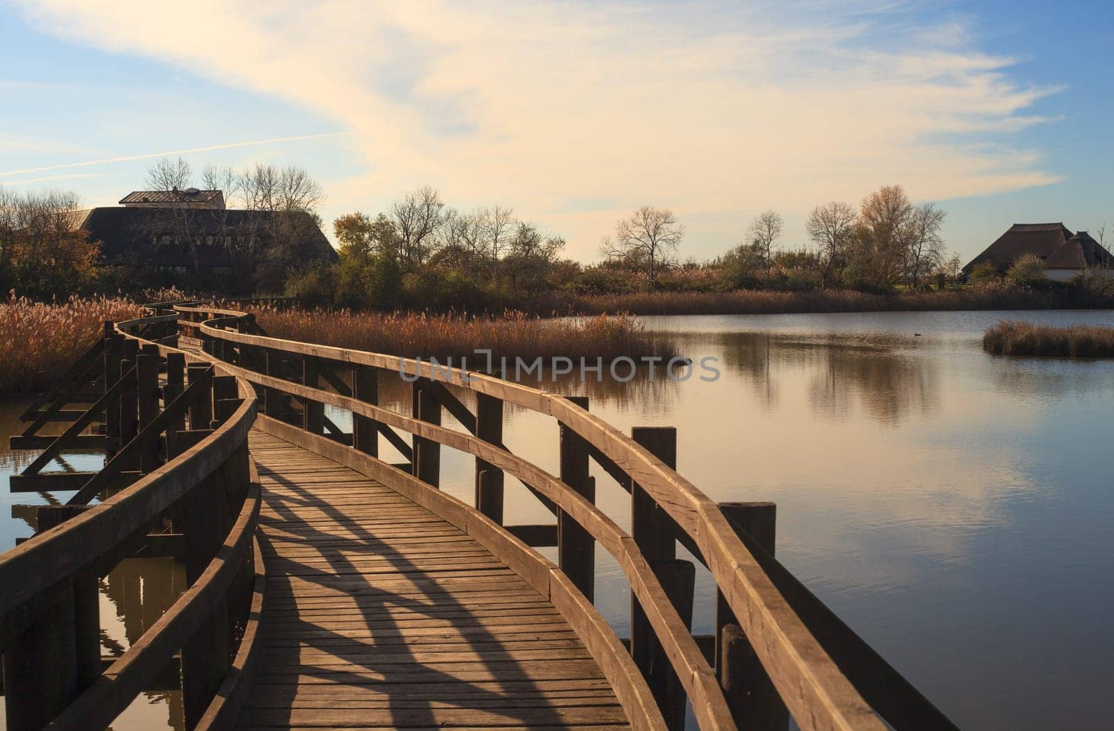 View of Nature reserve of Valle canal Novo, Italy
