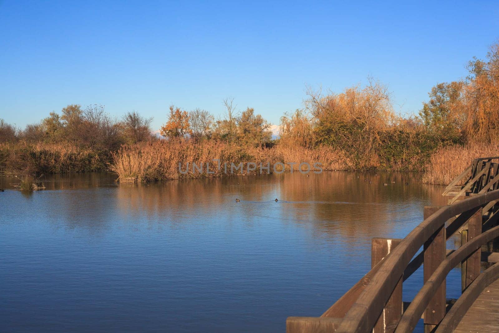 View of Nature reserve of Valle canal Novo, Italy