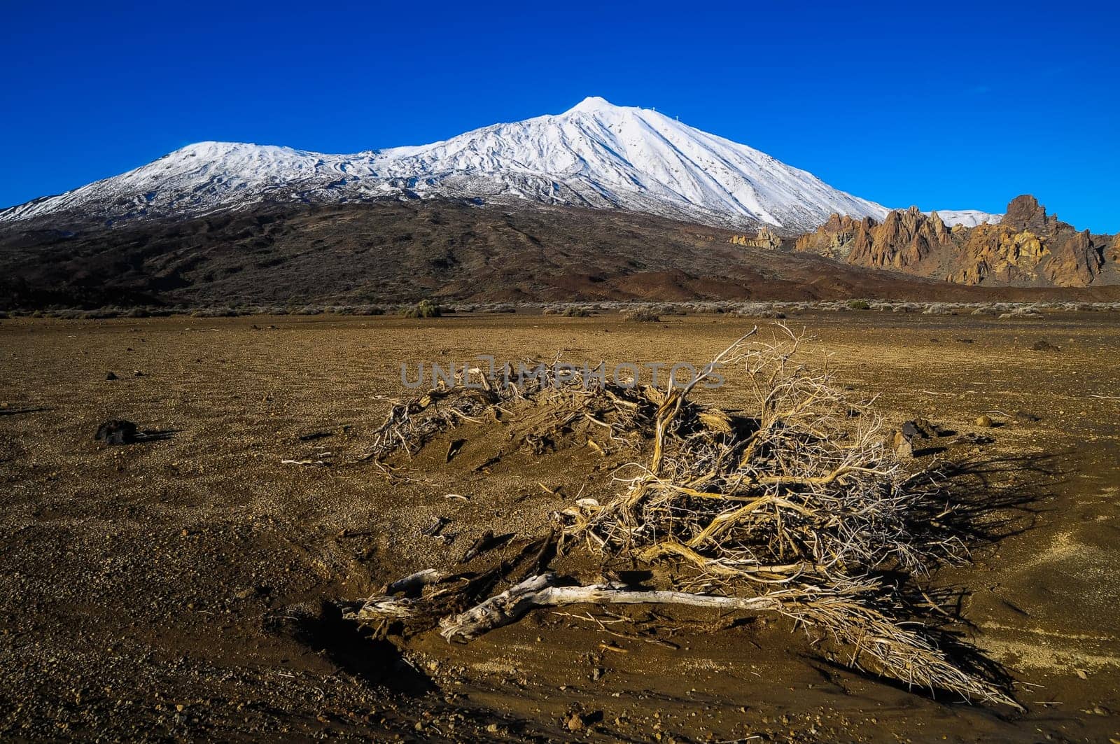 Desert Landscape in Volcan Teide National Park, Tenerife, Canary Island, Spain