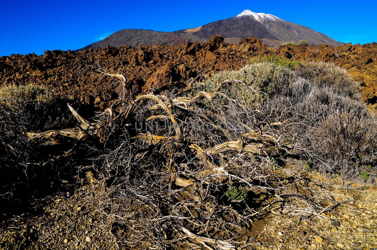 Desert Landscape in Volcan Teide National Park, Tenerife, Canary Island, Spain