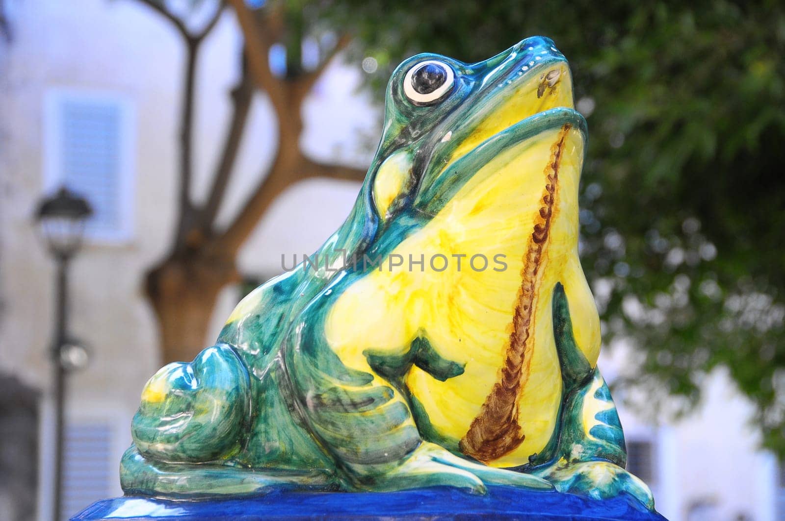 Green Fountain Frog on an Urban Garden