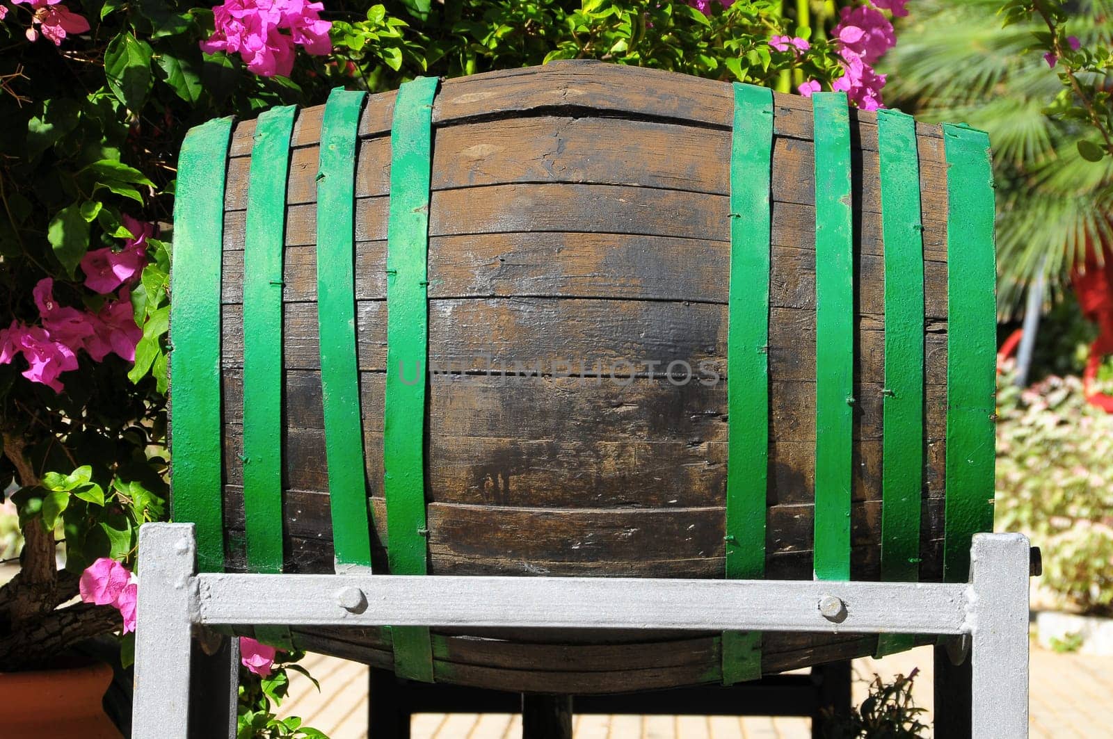 Decorative Old Wooden Barrel on an Urban Garden