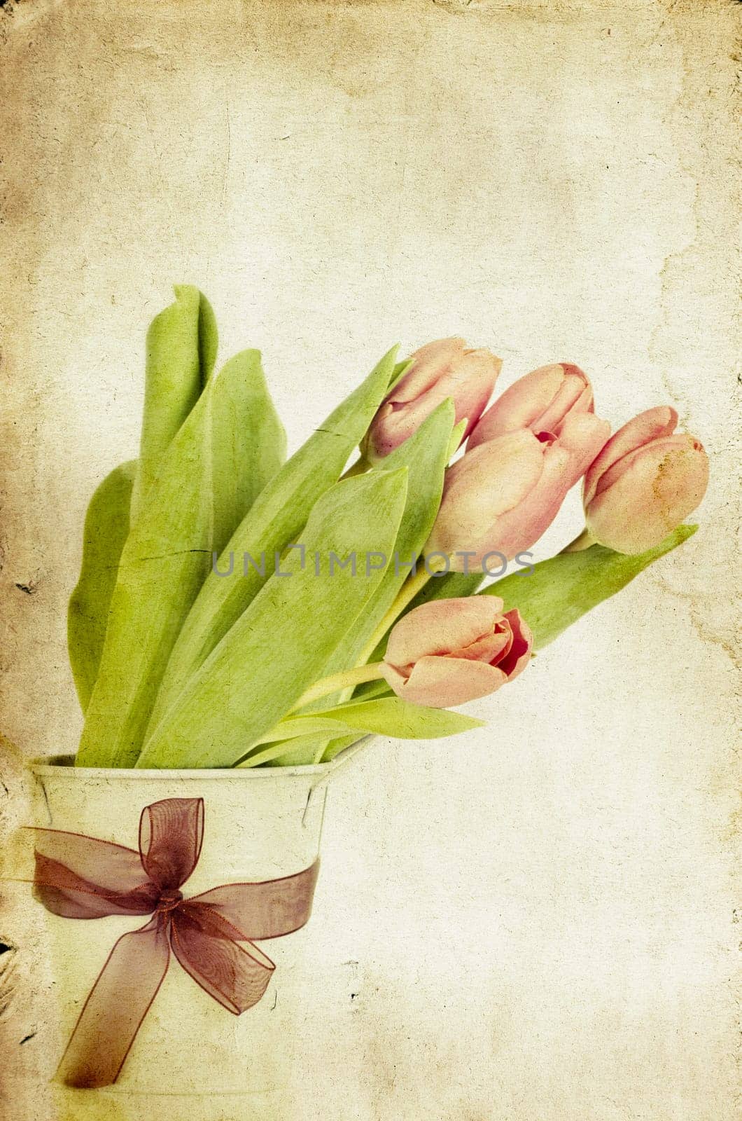 Beautiful pink tulips on vintage background