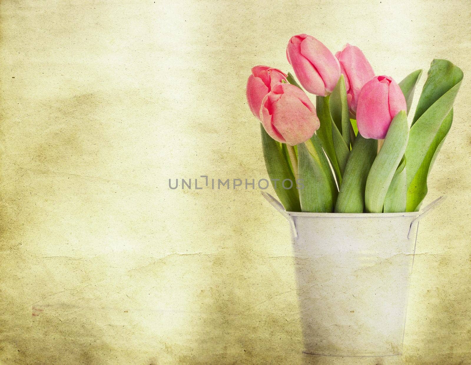 Beautiful pink tulips on vintage background