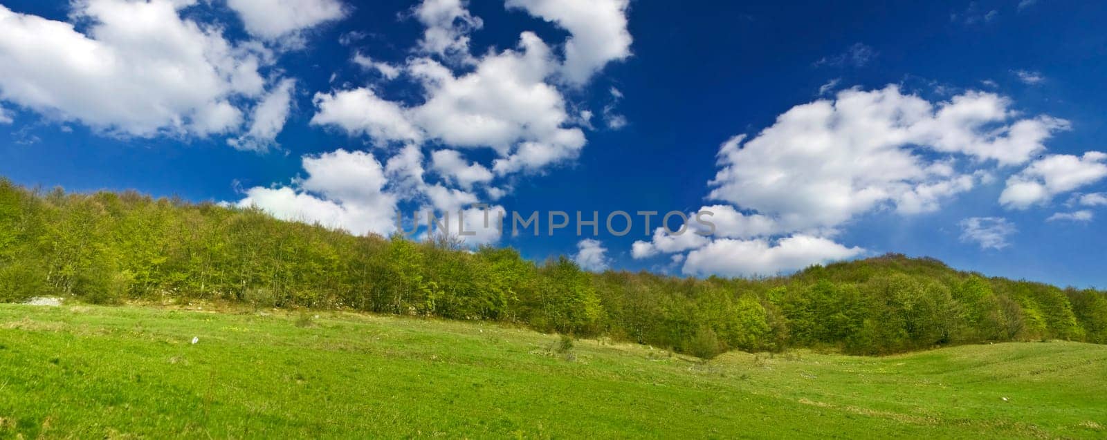 Fresh, clean summer landscape panorama