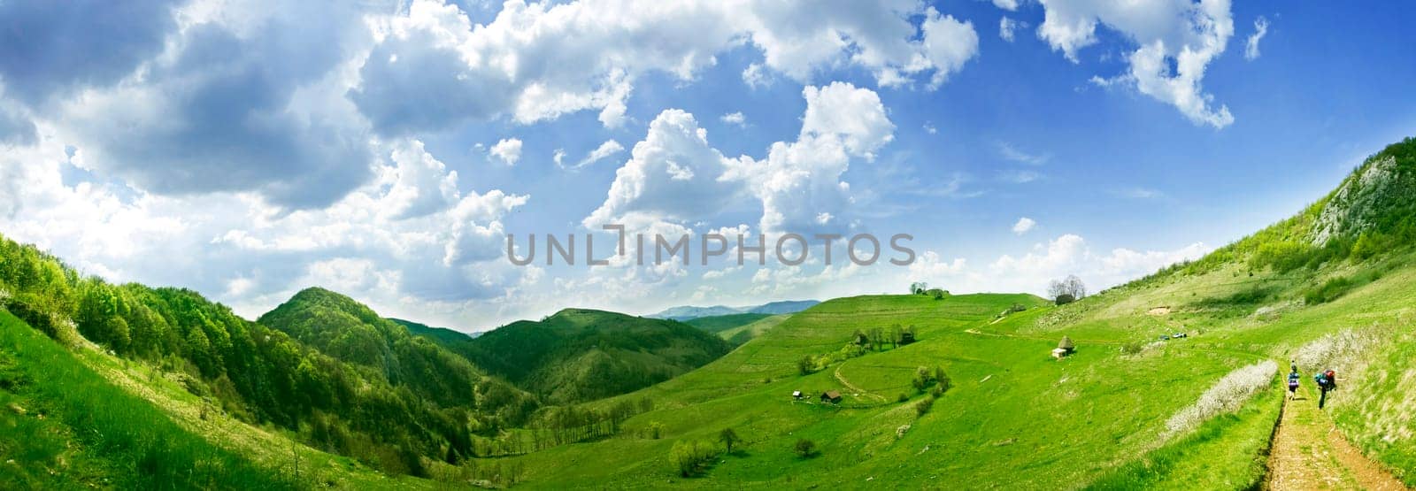 Fresh, clean summer landscape panorama