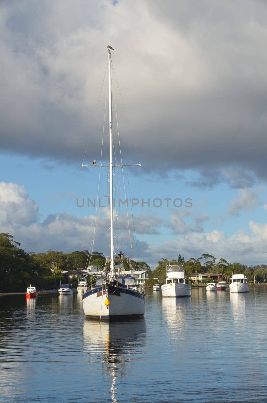 Sailing ship with osprey in Hawksnest