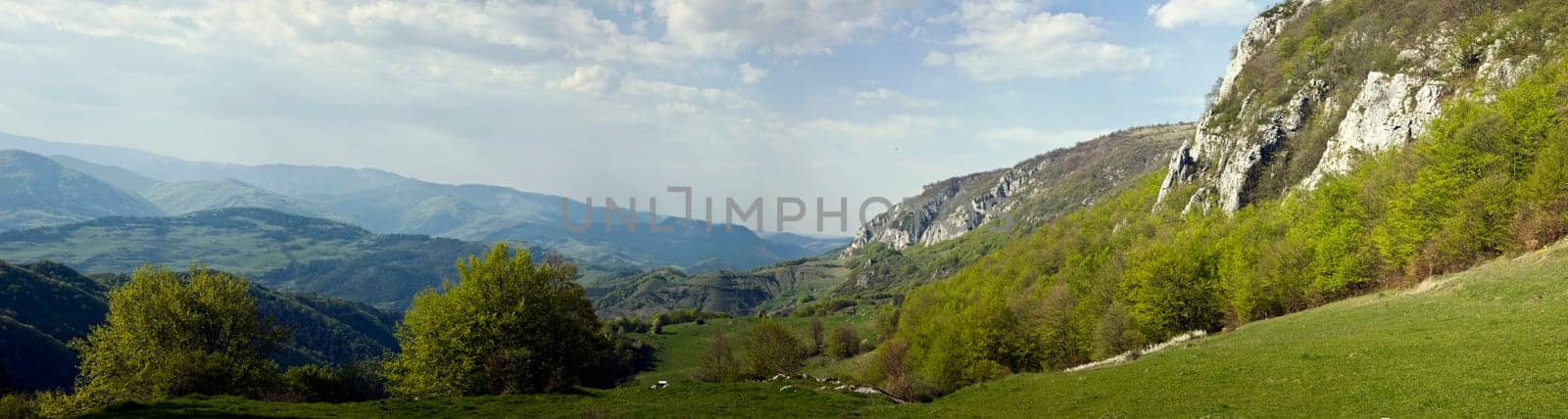 Fresh, clean summer landscape panorama