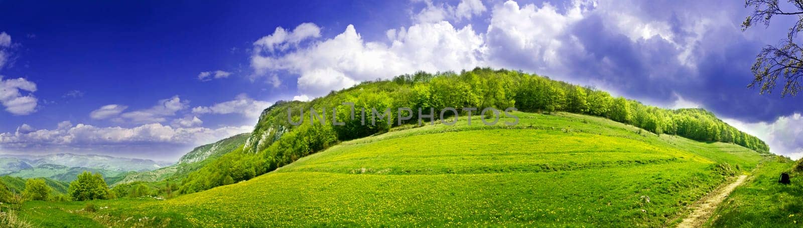 Fresh, clean summer landscape panorama