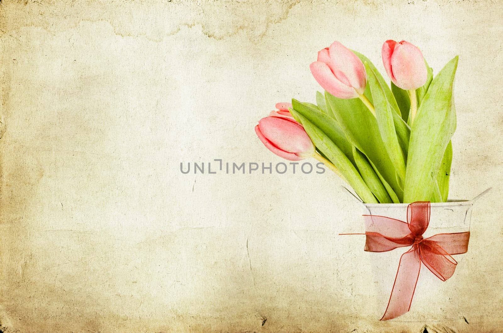 Beautiful pink tulips on vintage background