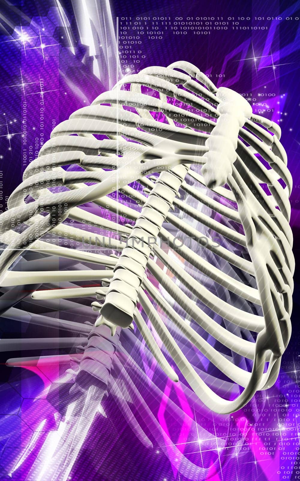 Digital illustration of rib cage in colour background