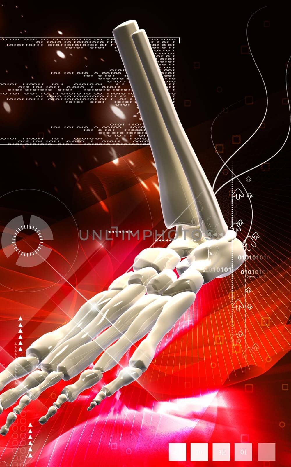 Digital illustration of Leg bone in colour background