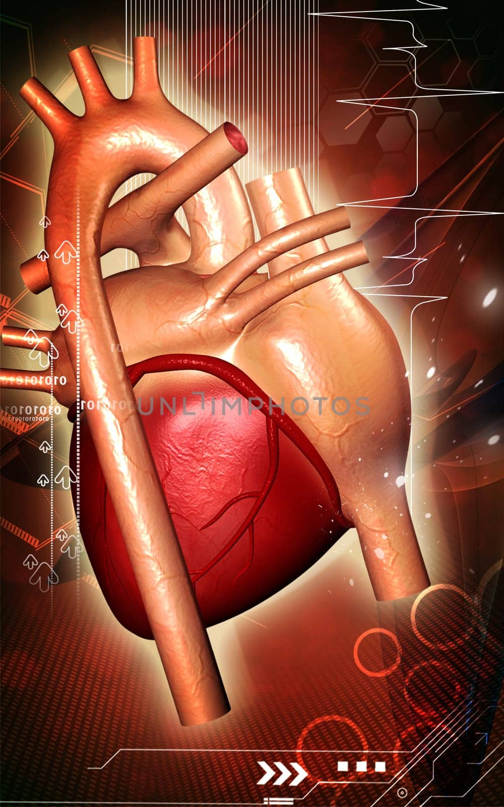 Digital illustration of heart in colour background