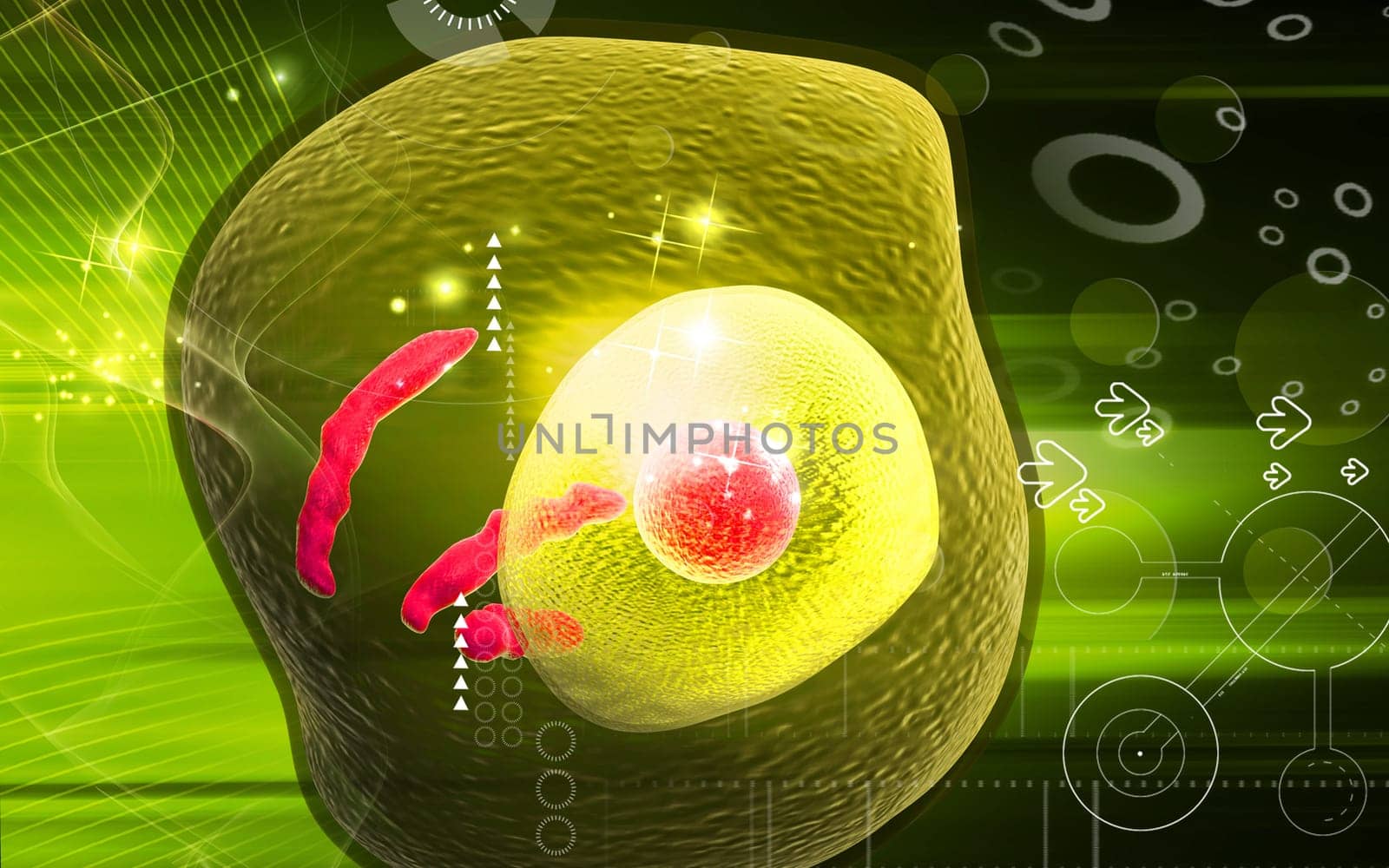 Digital illustration of human cell in colour background