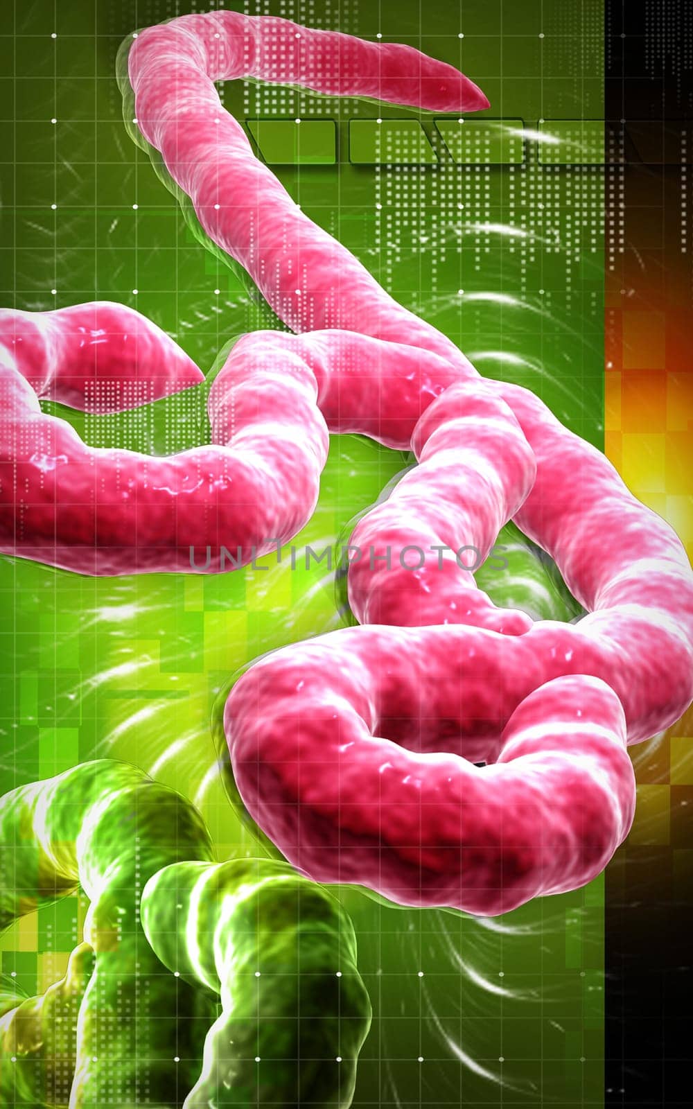 Digital illustration of Ebola virus in colour background