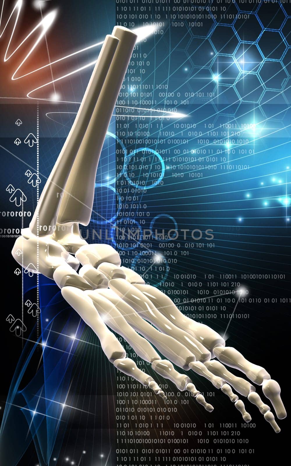 Digital illustration of Leg bone in colour background