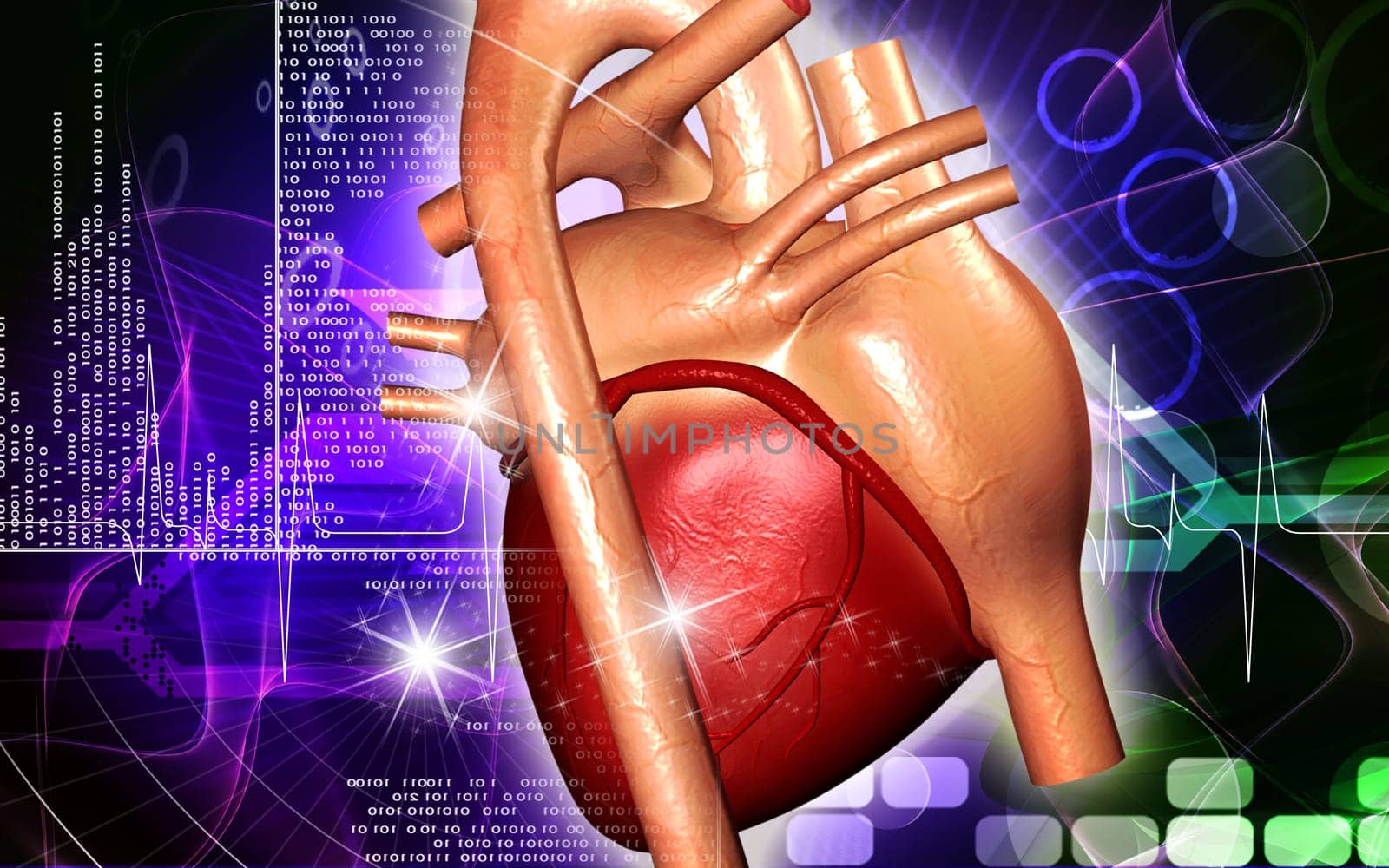 Digital illustration of heart in colour background