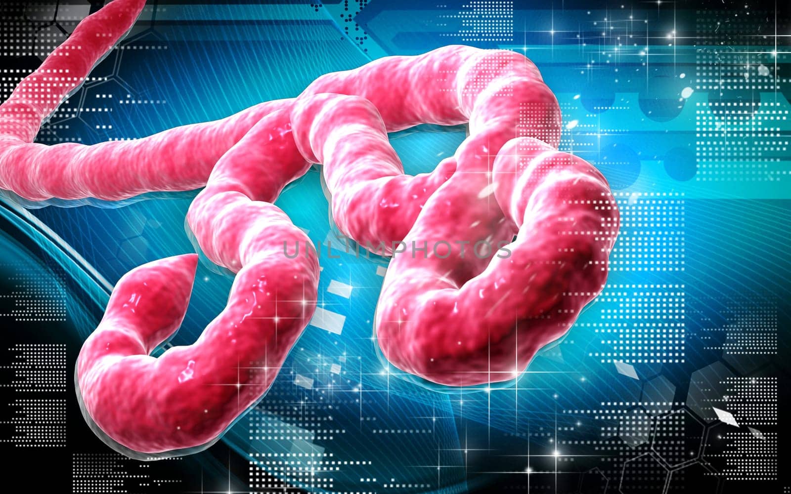 Digital illustration of Ebola virus in colour background