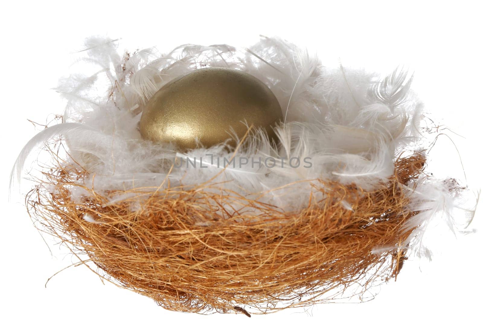 Golden egg in a nest full of fluffy white feathers