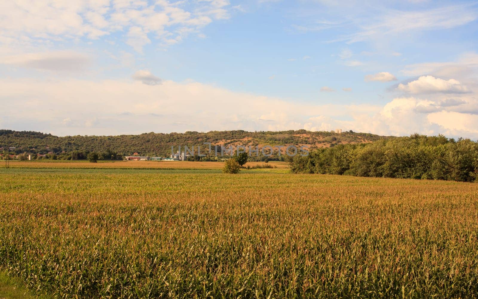 View of italian countryside
