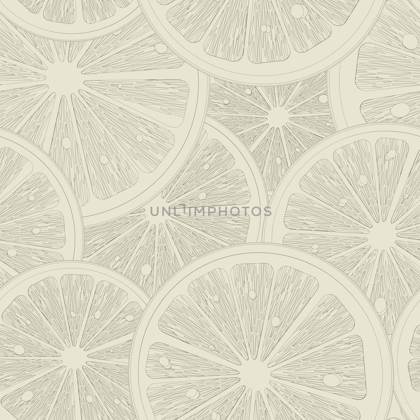 Lemon slices seamless pattern sketch