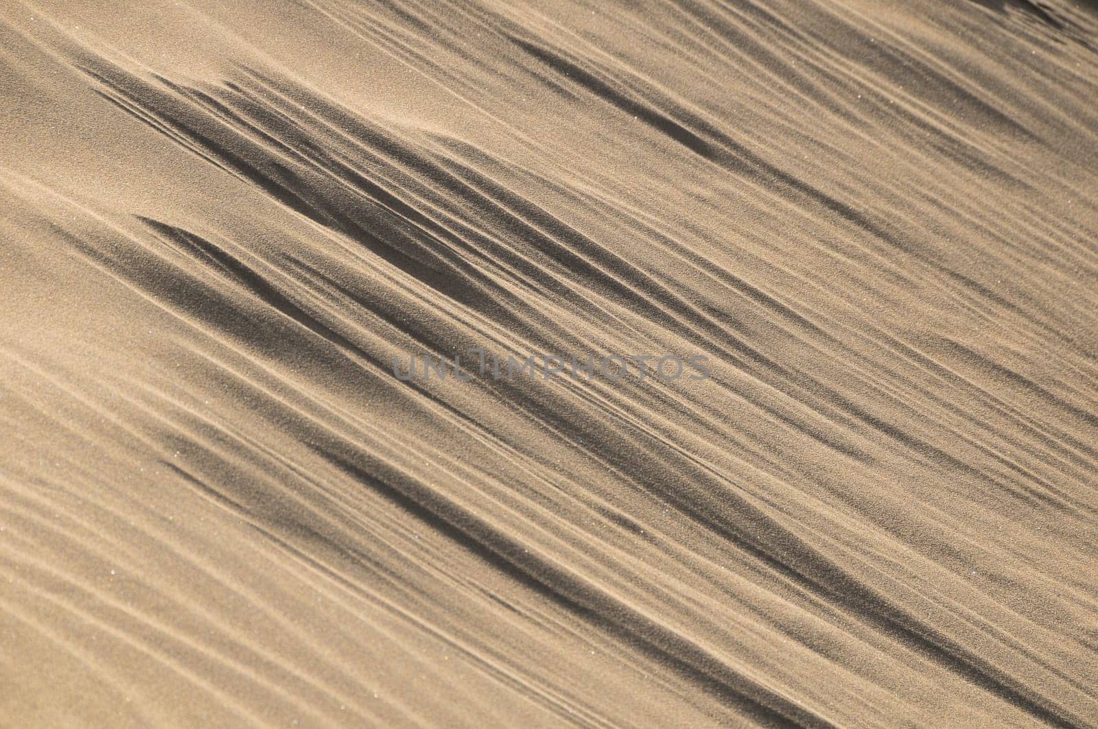 Texture Sand Dune Desert in Gran Canaria Island Spain