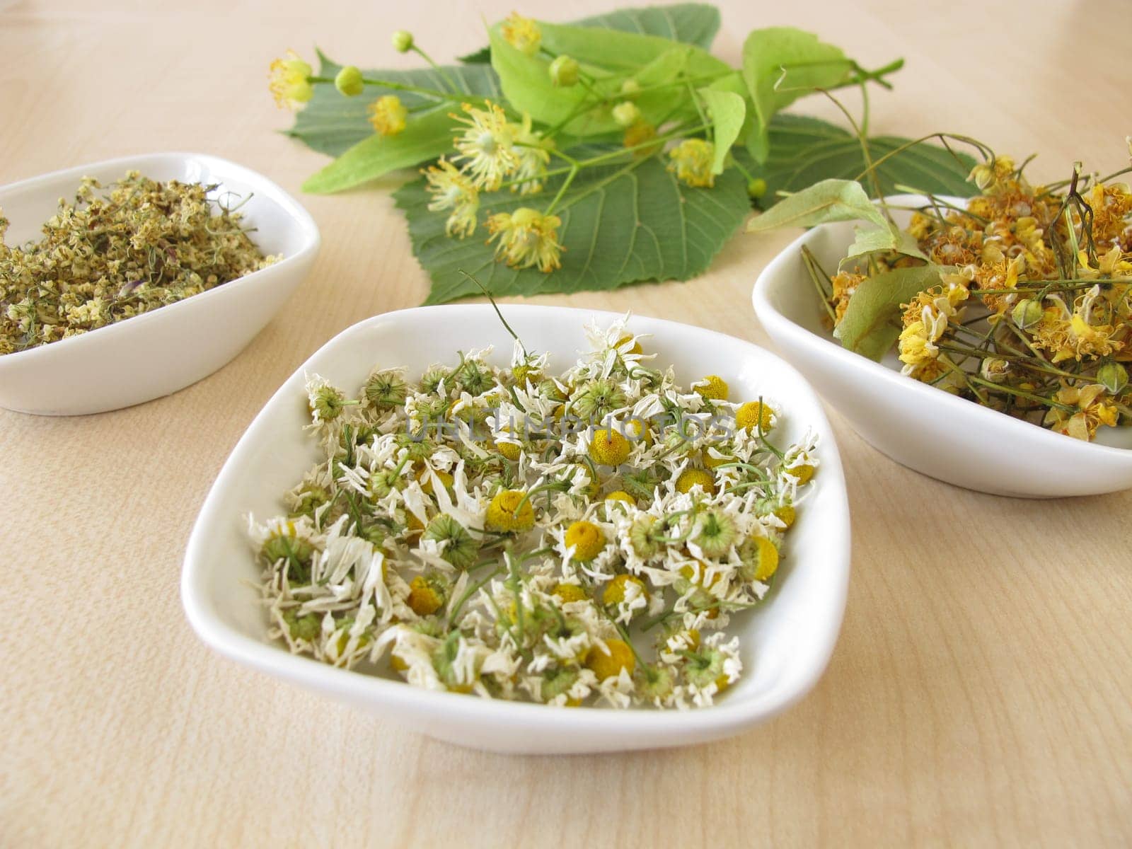 Dried tea herbs and fresh lime blossoms