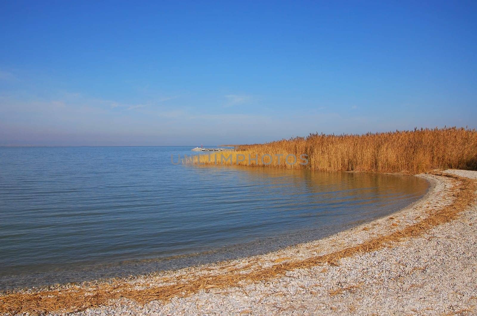 Beach with gravel on the shore of Lake Neusiedl