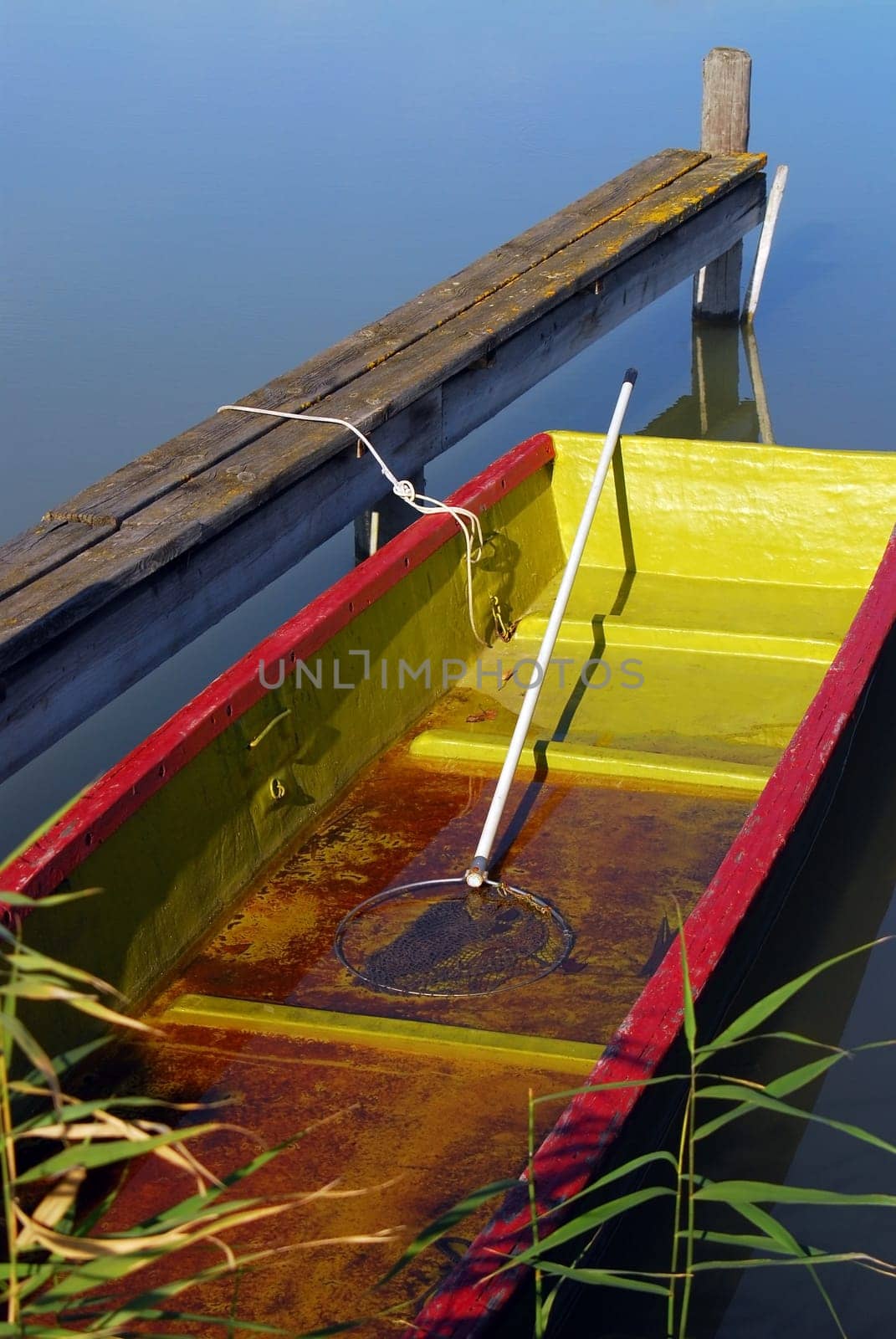Old rowing boat with a landing net on board lies on the jetty in the reeds of Lake Neusiedl.