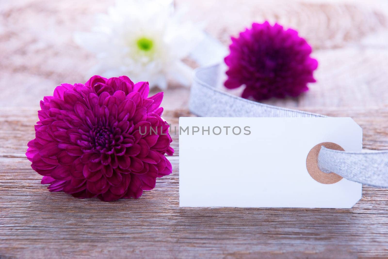Background with Flowers and Blank Label with Copy Space
