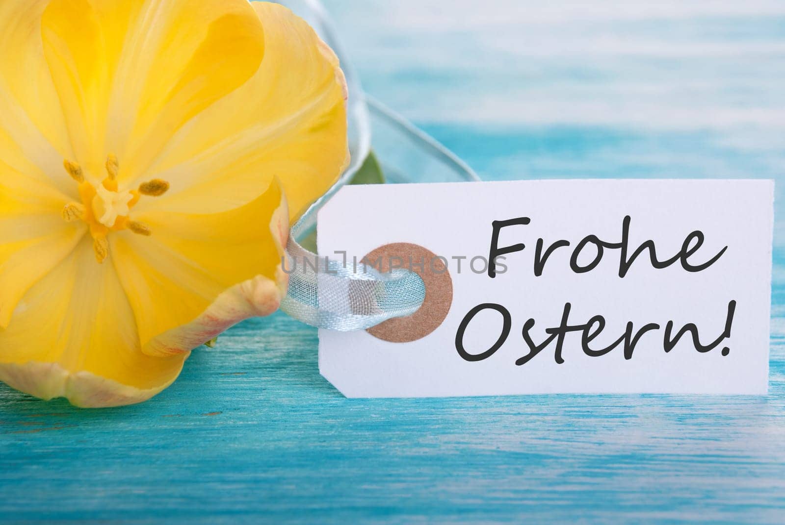 Banner with the German Words Frohe Ostern which means Happy Easter