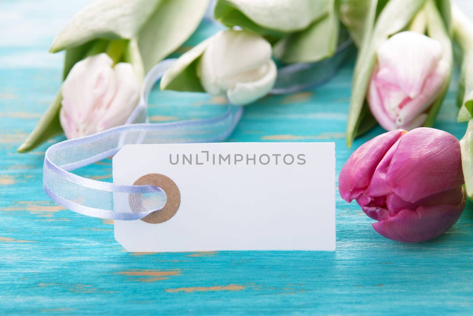 Label with Copy Space and Tulips in the Background