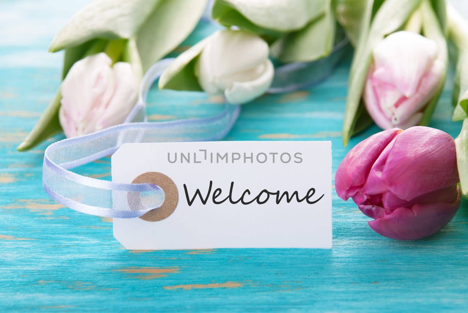 Tag with Welcome on turquoise Board with Tulip Flower